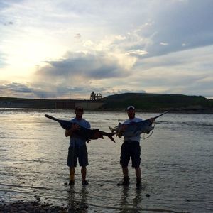 Meet your Posher, Tim